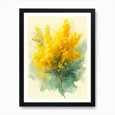 Mimosa Art Print Framed Wall