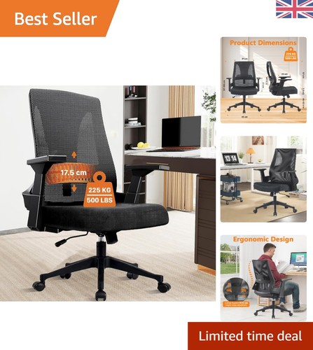 Sedia ufficio ergonomica - ufficio, in