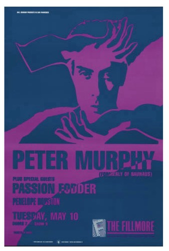 Poster concerto peter murphy - poster,