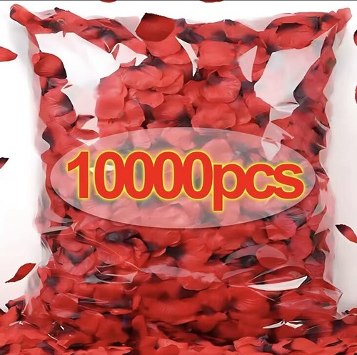 1000 pezzi petali rosa - di,