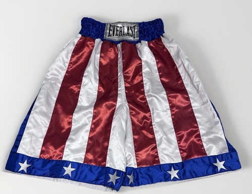Boxe rocky balboa everlast - rocky,