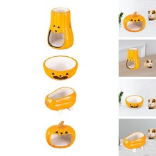 Furetto in ceramica Riccio