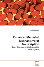 Enhancer Mediated Mechanisms