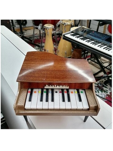 Pianoforte coda miniatura - coda,