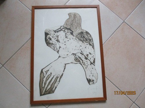 Giannetto fieschi incisione - fieschi,