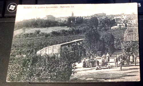 Velletri regia cantina - velletri,