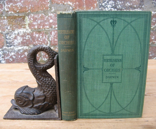1904 charles darwin - 1904, darwin-