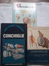 Lotto Conchiglie 3 Vol.