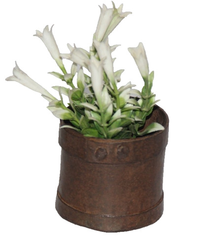 Antico ferro grano - di,