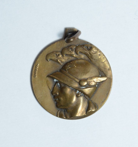Medaglia alpini adunata napoli - alpini,