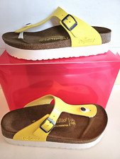 SANDALO PAPILLIO ARIZONA