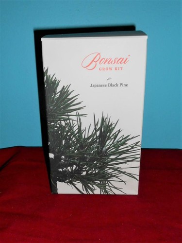 Kit coltivazione semi bonsai