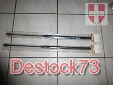 Set of Two Trunk Pistons for