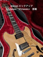 Artstar Asv113 con custodia rigida n.MG2683