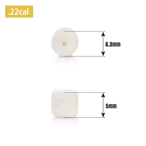100 tamponi 22cal - 100, pulizia