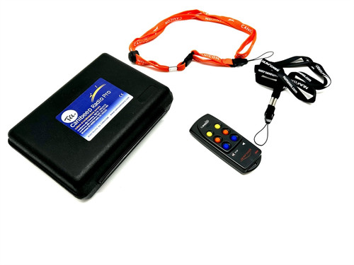Telecomando per canibeep radio