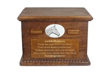 Cavallo da corsa in pensione