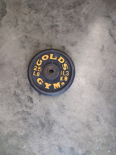Piastra peso gold gym 25 - gold's,