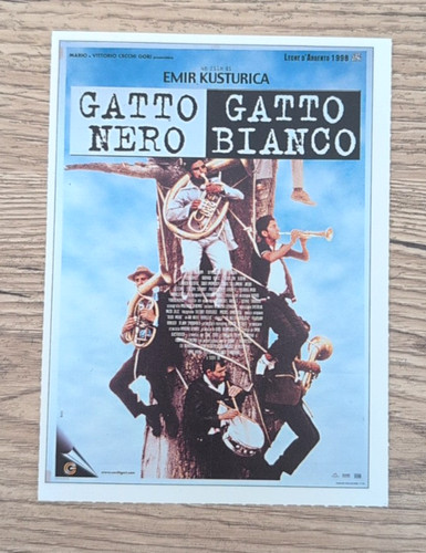 Cartolina gatto nero - gatto,
