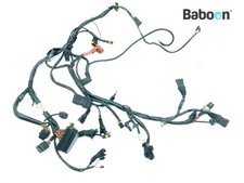 Cablaggio Ducati Monster 900