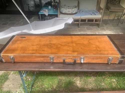 Rockcase warwick custodia - by,