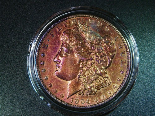 Dettaglio 1904 dollaro - dettaglio,