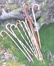 Bastoni per andare a funghi e