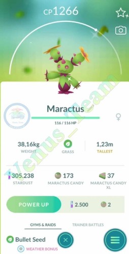 Pokémon shiny maractus - go, ✨