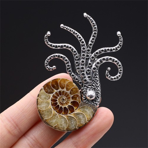 Spilla ciondolo ammonite - spilla/ciondolo,