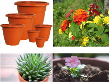 VASO TONDO VULCANO FIORI PIANTE GIARDINAGGIO FIORIERE VASI PLASTICA VARIE MISURE