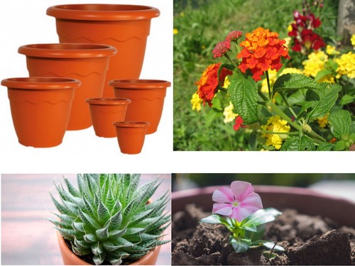 Vaso tondo vulcano fiori - vaso,