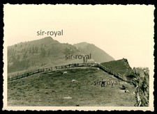 Monte Rigi anni '50 - Svizzera - foto 10x7 cm
