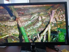 Ottimo Monitor LG FLATRON