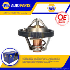 Termostato liquido di