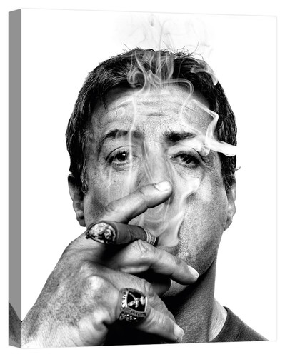 Quadro stallone stampa tela - quadro,