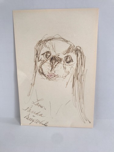 Schizzo disegno firmato betty - firmato,