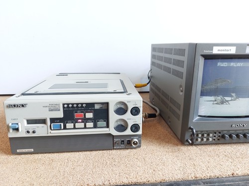 Videoregistratore portatile