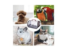 Borsetta pappagalli gabbia