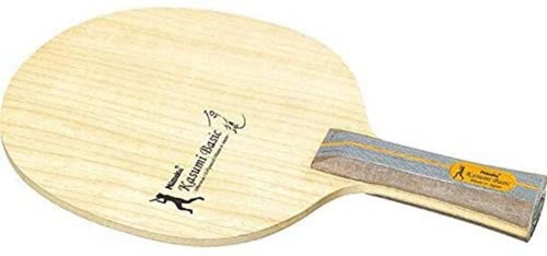 Racchetta ping pong - pong, nittaku