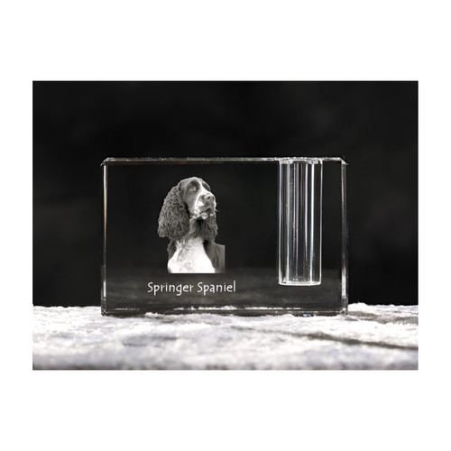 Springer spaniel inglese - springer,
