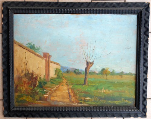 Vittorio buora quadro dipinto - vittorio,