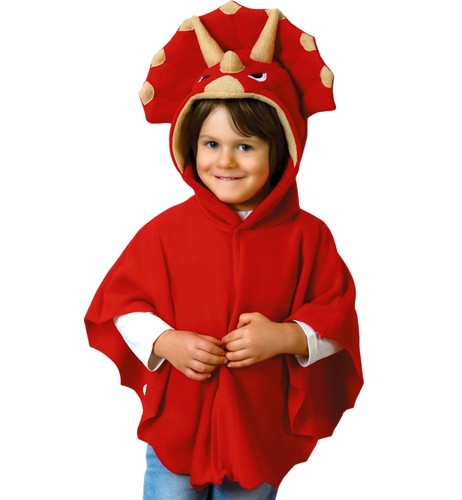 Costume carnevale drago - costume,