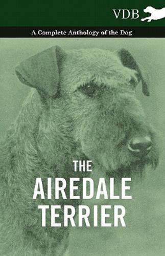 The airedale terrier a - airedale,