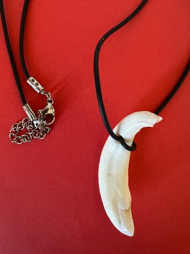 Collana con dente di - ,