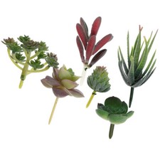 6 Pezzi Succulente Realistiche