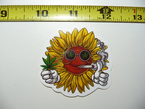 Marijuana girasole piccolo - girasole,