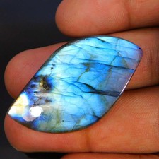 Commercio all'ingrosso 46,00