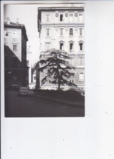 foto trieste anni 60 ca zona SAN MICHELE auto d'epoca