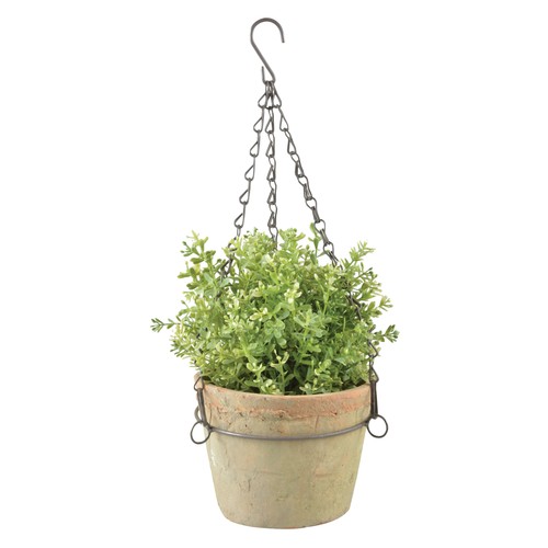 Semaforo per fiori terracotta