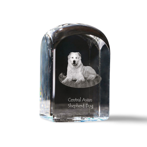 Cane pastore dell - cane, dell'asia